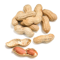 Is Your Business Prepared for an Allergy Epidemic?